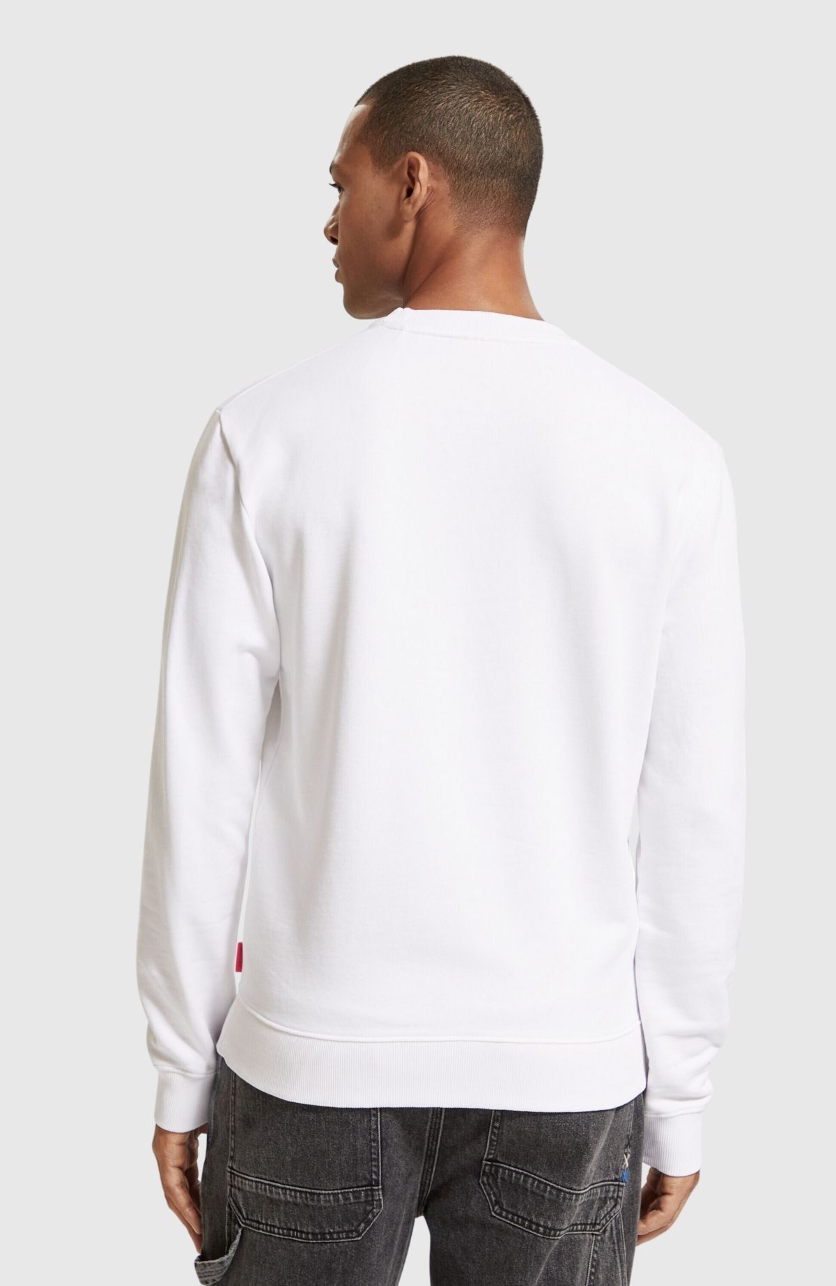 Regular fit artwork sweatshirt in Organic Cotton